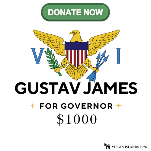 Donate to Gustav James